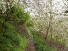 Fly Walk in spring